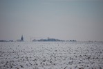 Grue ternelle -- 06/02/12