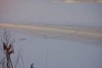 En qute de chemin (2) -- 11/02/12